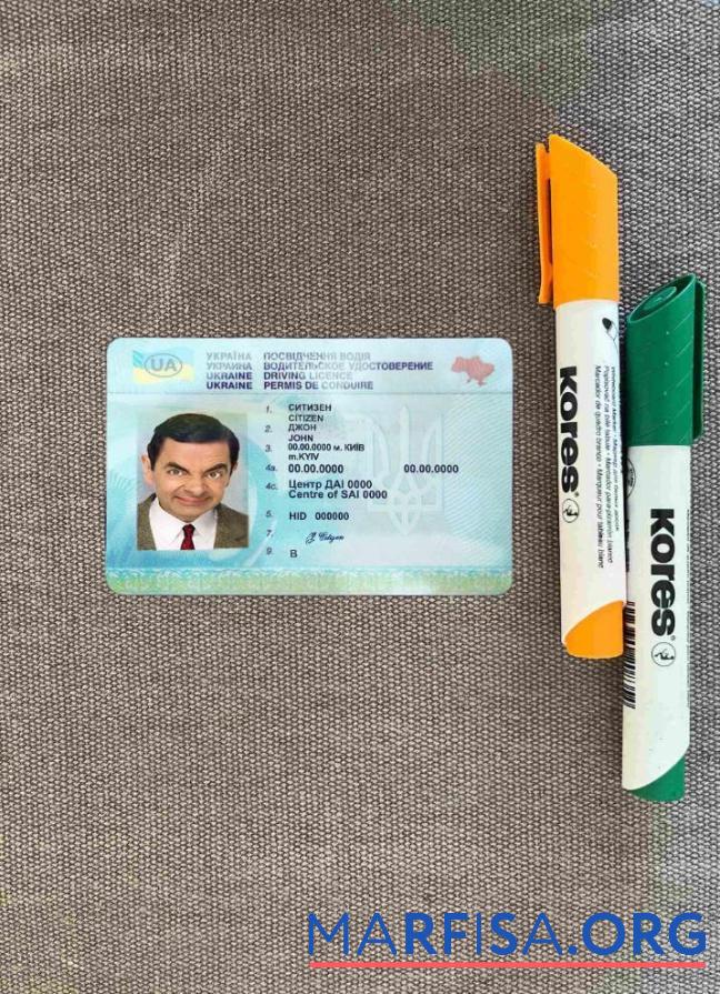 Blank Ukraine driving license photolook template